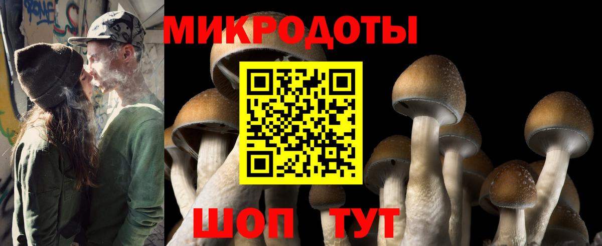 Галлюциногенные грибы Psilocybe  где купить наркоту  Вход с VPN  Азнакаево  Псилоцибиновые грибы GOLDEN TEACHER 